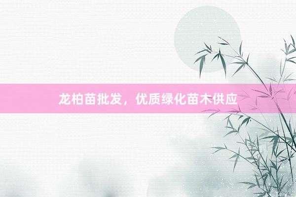 龙柏苗批发，优质绿化苗木供应